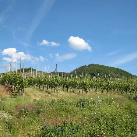 Gorgeous In With Terrace Bruttig-Fankel